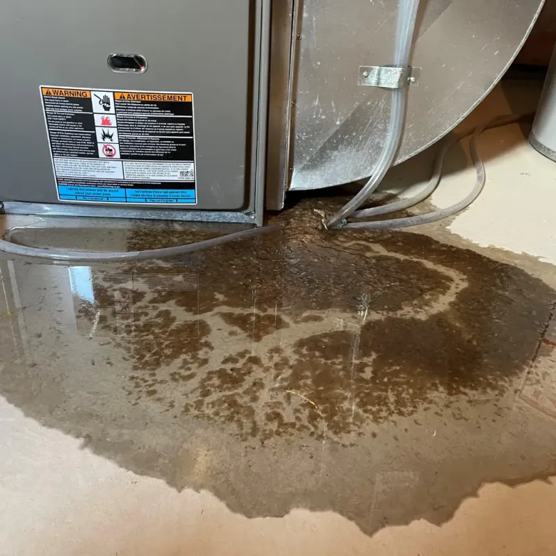 Appliance Leak Cleanup in Jan-Phyl Village, FL