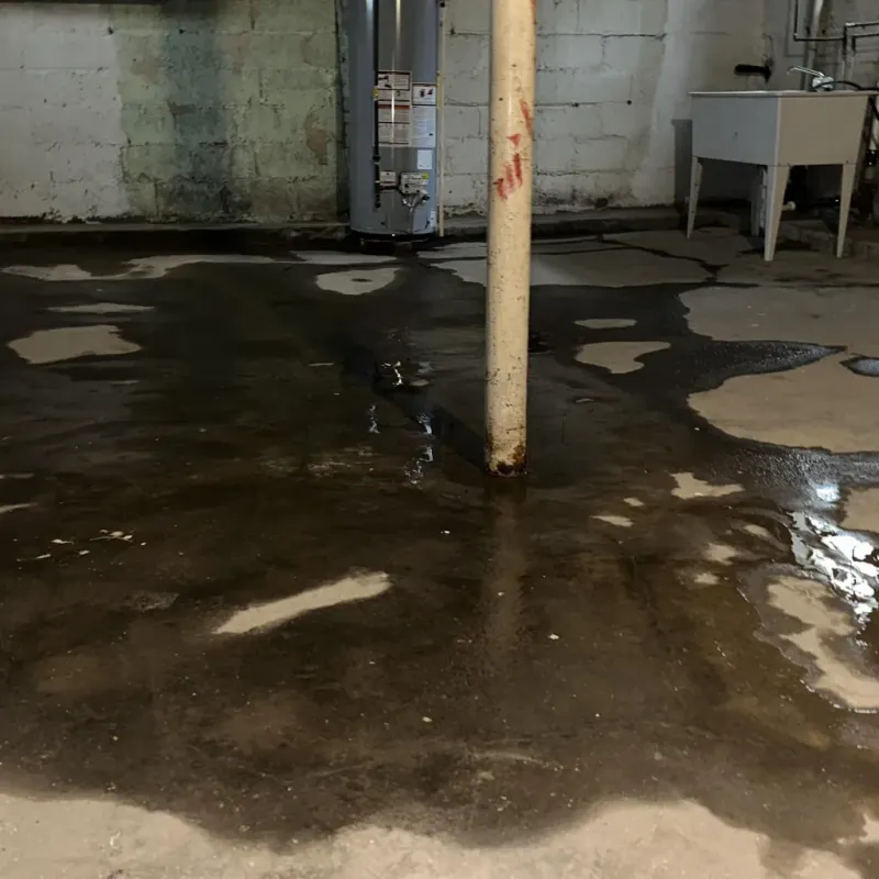 Emergency Water Extraction And Removal in Jan-Phyl Village, FL